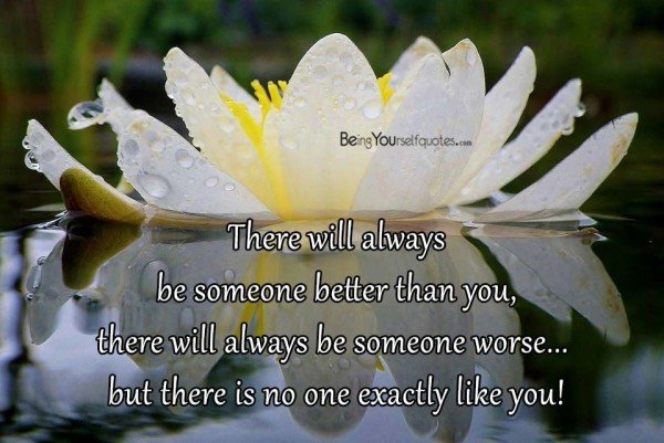 There will always be someone better than you - Being Yourself Quotes